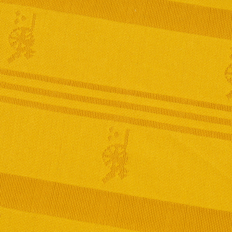 Tres Fines Et unus Crassus Duplex Jacquard Fabric